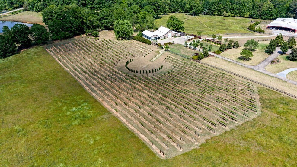 More Photos Of 525 Murphy Rd, Newnan Winery Vineyard For Sale