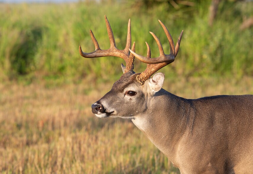 More Photos Of CR 19, Hallettsville Land For Sale