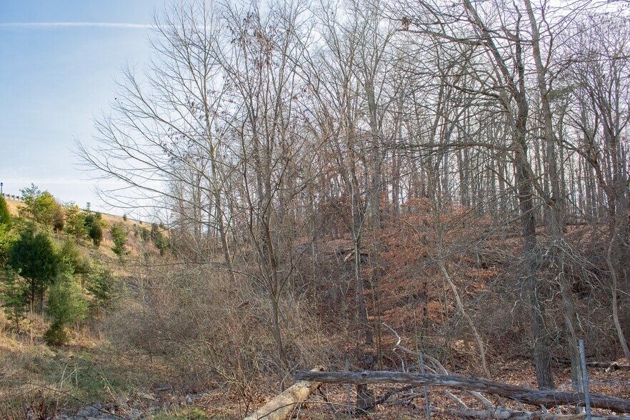 More Photos Of Lot B Opequon Connector Rd, Kearneysville Land For Sale