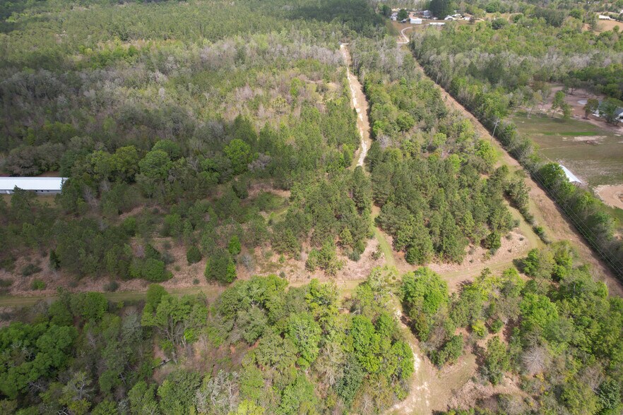 More Photos Of 12960 County Road 48, Silverhill Land For Sale