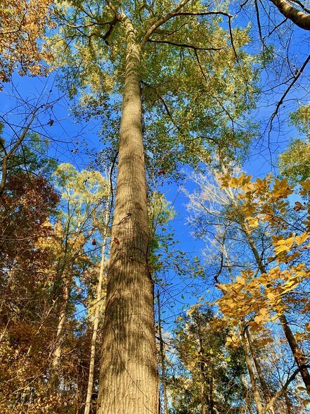 More Photos Of 1882 Barber Creek Rd, Statham Land For Sale