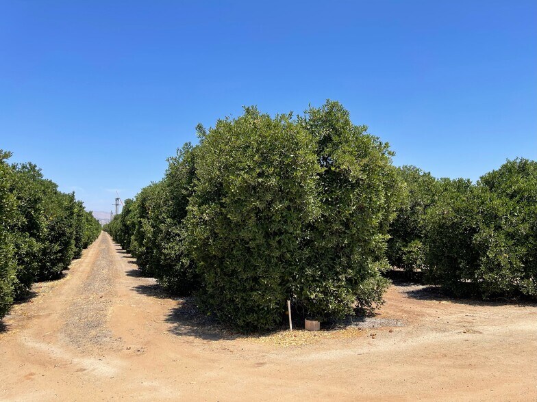 Orange Cove area, Orange Cove, CA 93646 Land For Sale