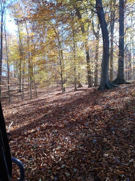 More Photos Of 715 Wheeler Rd, Ewing Land For Sale