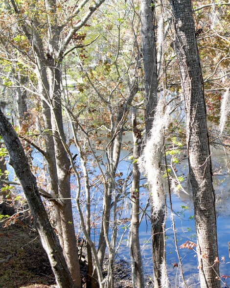 More Photos Of 8810 Goodbys Executive Dr, Jacksonville Medical For Sale