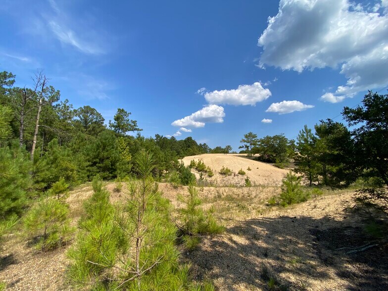 More Photos Of US 51 Bypass hwy, Roseland Land For Sale