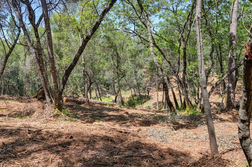More Photos Of 10650 Werner Rd, Auburn Land For Sale