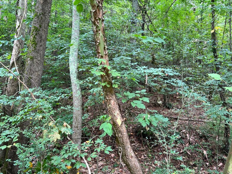 More Photos Of Pinyan, Ranger Land For Sale