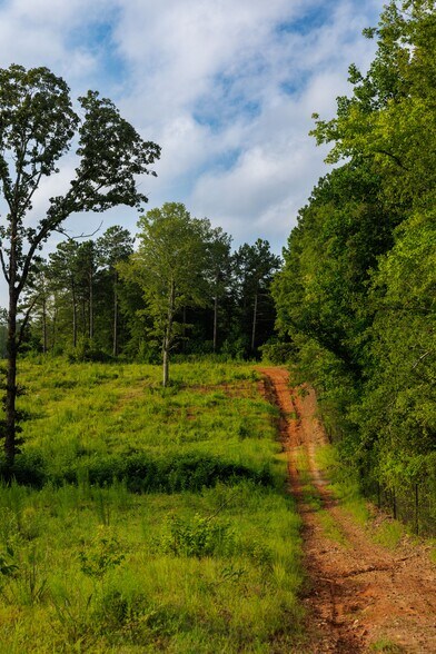 More Photos Of 2199 Roosterville Rd, Roopville Horse Stables For Sale