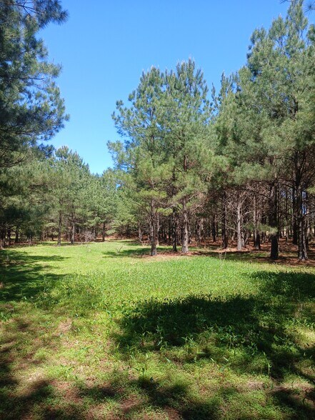 More Photos Of 414000 E 1920 Rd, Antlers Land For Sale