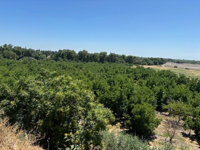 More Photos Of 0 Jackson Road Rd, Oakdale Land For Sale