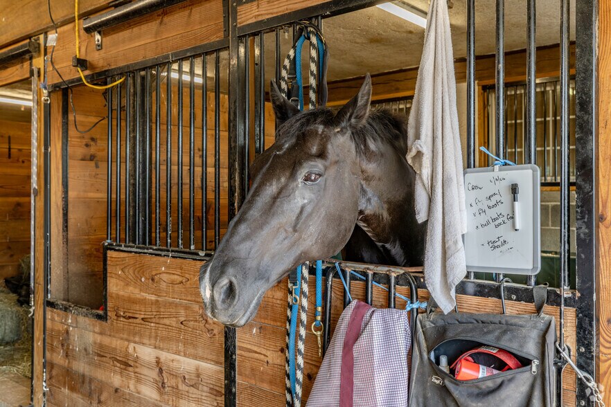 More Photos Of 11 Charlottesburg Rd, Boonton Horse Stables For Sale
