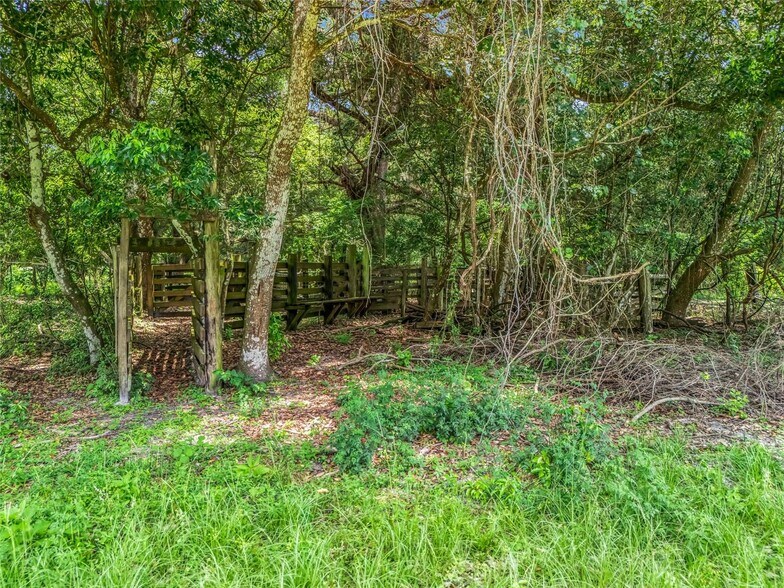 More Photos Of CR 738, Webster Land For Sale