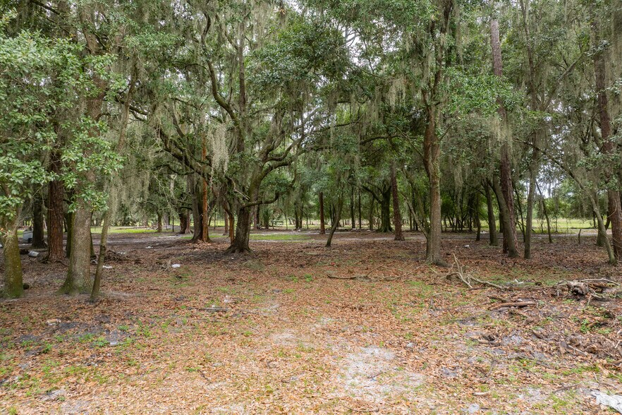 More Photos Of 1480 Coronet Rd, Plant City Land For Sale
