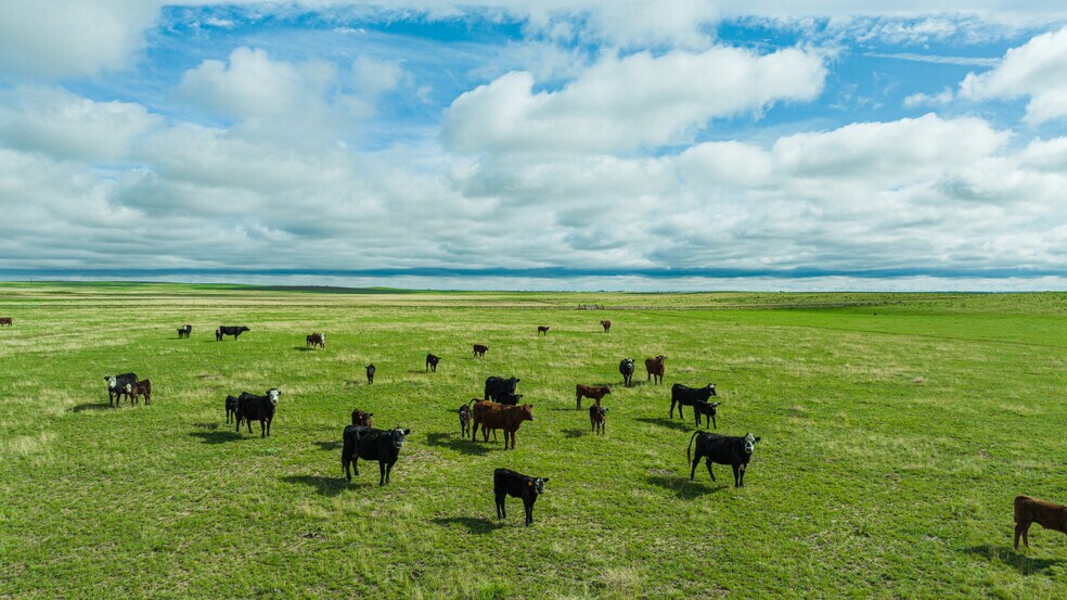 More Photos Of Squirrel Creek Road, Colorado Springs Land For Sale