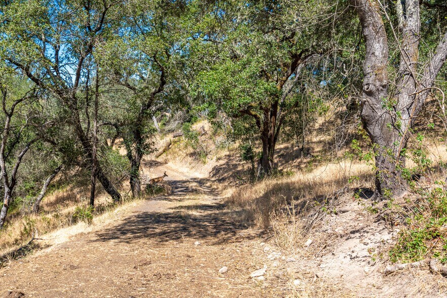 More Photos Of 7044 Bennett Valley Rd, Santa Rosa Land For Sale