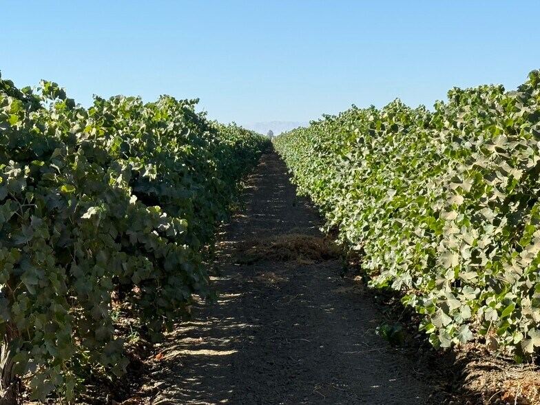 More Photos Of W Cole ave, Coalinga Land For Sale