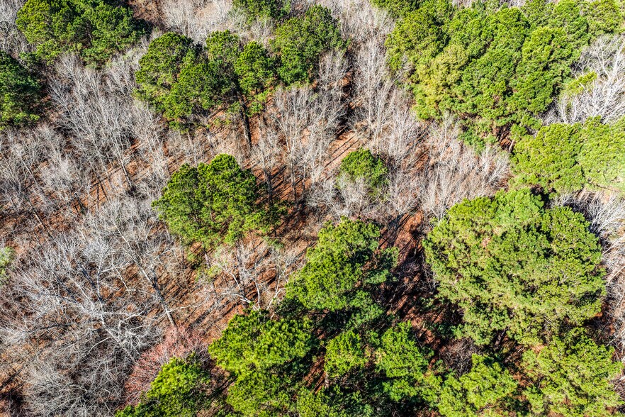 More Photos Of 1609 County Road 246 S rd, Tyler Land For Sale