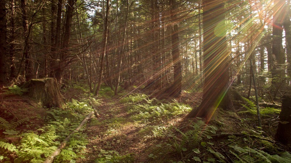 More Photos Of 000 Colt Is, Juneau Land For Sale