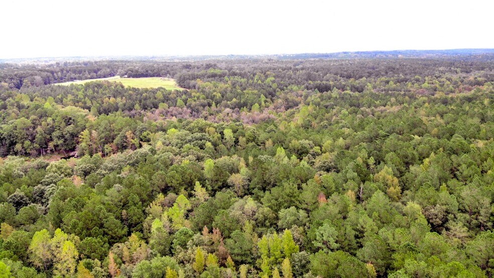 More Photos Of 300 Milton Welch (47+ acres - address # est) Rd, Sanford Land For Sale