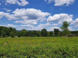 Primary Photo Of Route 55 @ Taconic Pky, La Grange Land For Sale