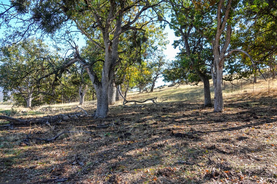 More Photos Of 3501 S State Highway 3, Etna Land For Sale