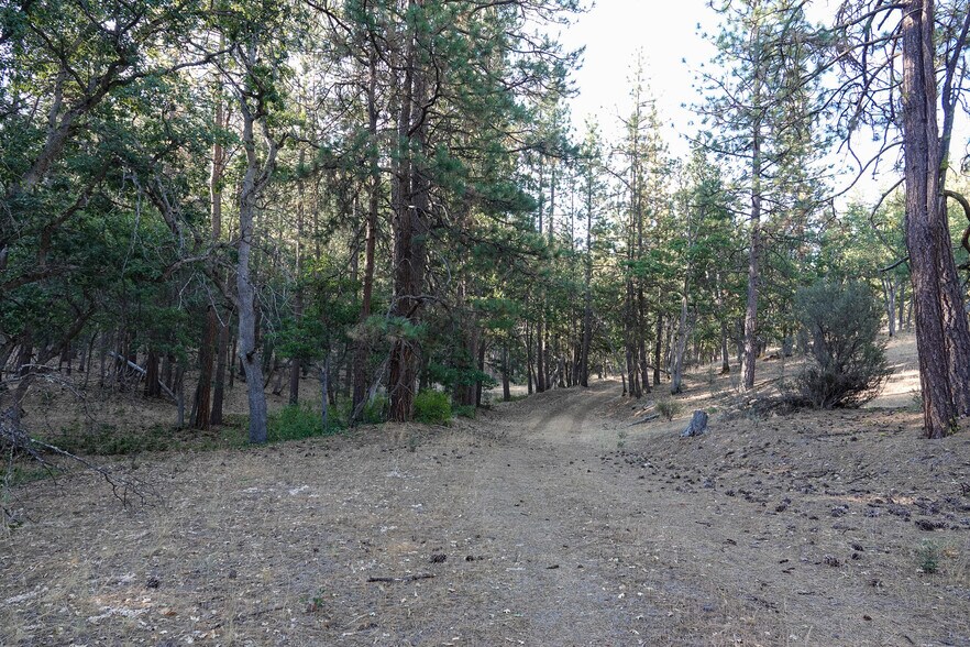 More Photos Of 0 East Rd, Fort Jones Land For Sale