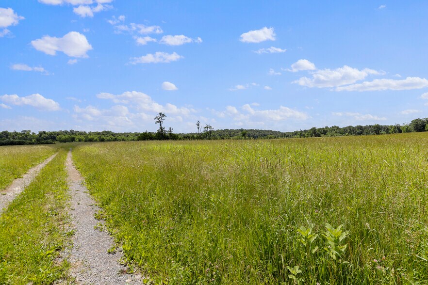 More Photos Of 3648 Dominion Rd, Gerrardstown Land For Sale