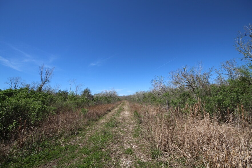 More Photos Of Hwy 288 hwy, Rosharon Land For Sale