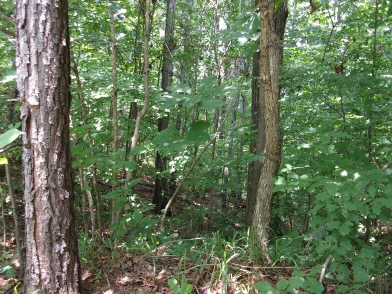 More Photos Of 2869 Oakcliff Rd, Atlanta Land For Sale