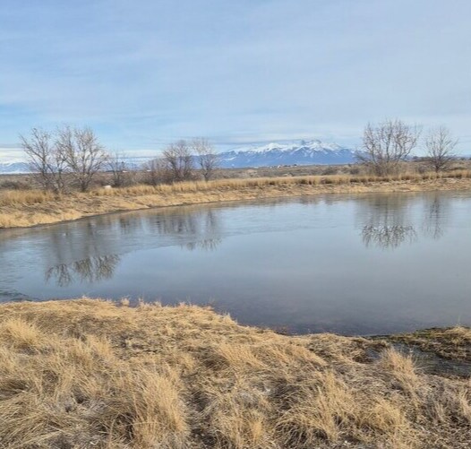 Primary Photo Of County Road 106 south, Alamosa Land For Sale