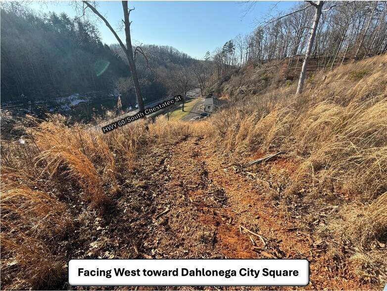 More Photos Of 5197 S Chestatee, Dahlonega Land For Sale