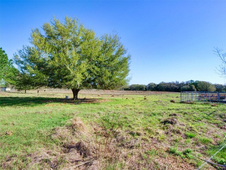 Primary Photo Of County Road 614A, Bushnell Land For Sale