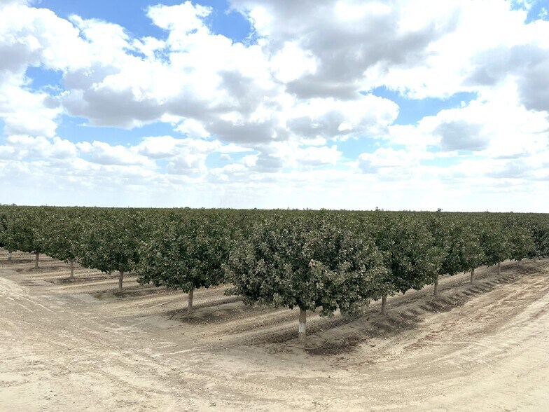 More Photos Of Idaho Ave @ 5th Avenue, Hanford Land For Sale