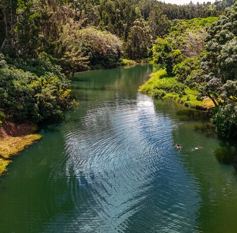 More Photos Of 5545 Kahiliholo Rd, Kilauea Land For Sale