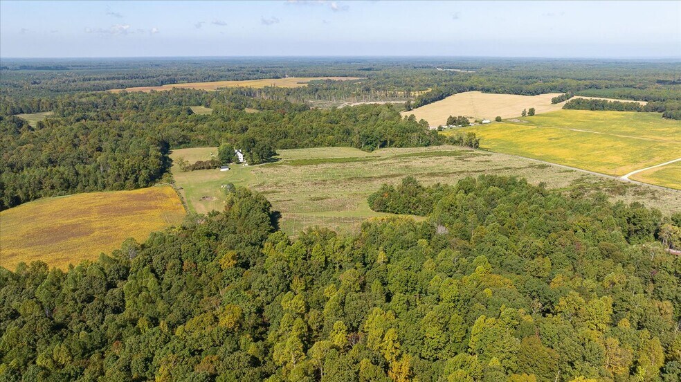 More Photos Of 667 Hustle Rd, Hustle Winery Vineyard For Sale