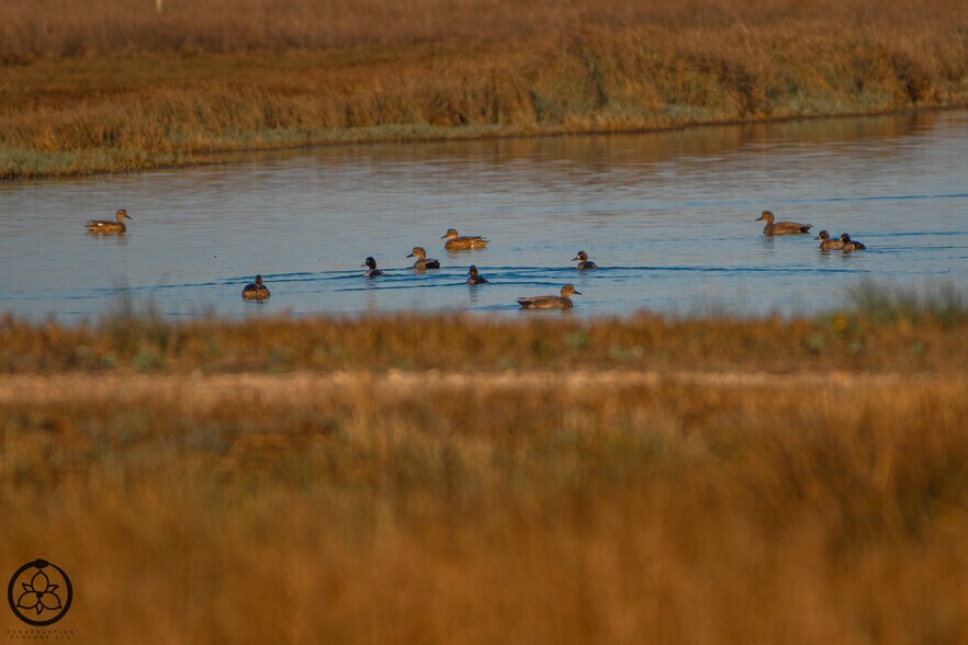 More Photos Of 1751 FM 1781, Rockport Land For Sale