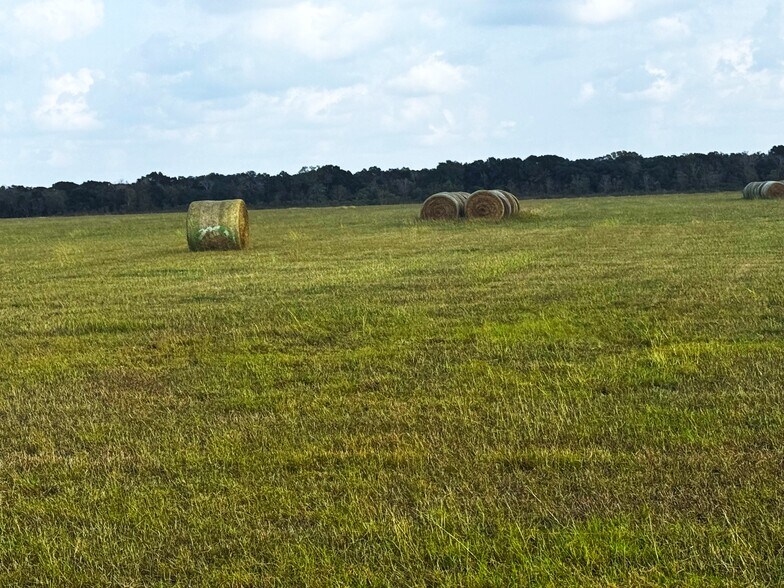 More Photos Of 0 0 CR 321, Louise Land For Sale