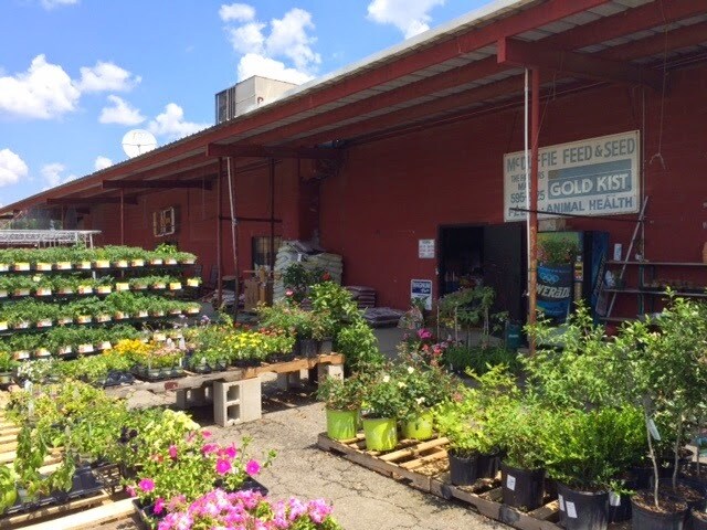 More Photos Of 784 Augusta Rd, Thomson Industrial For Sale