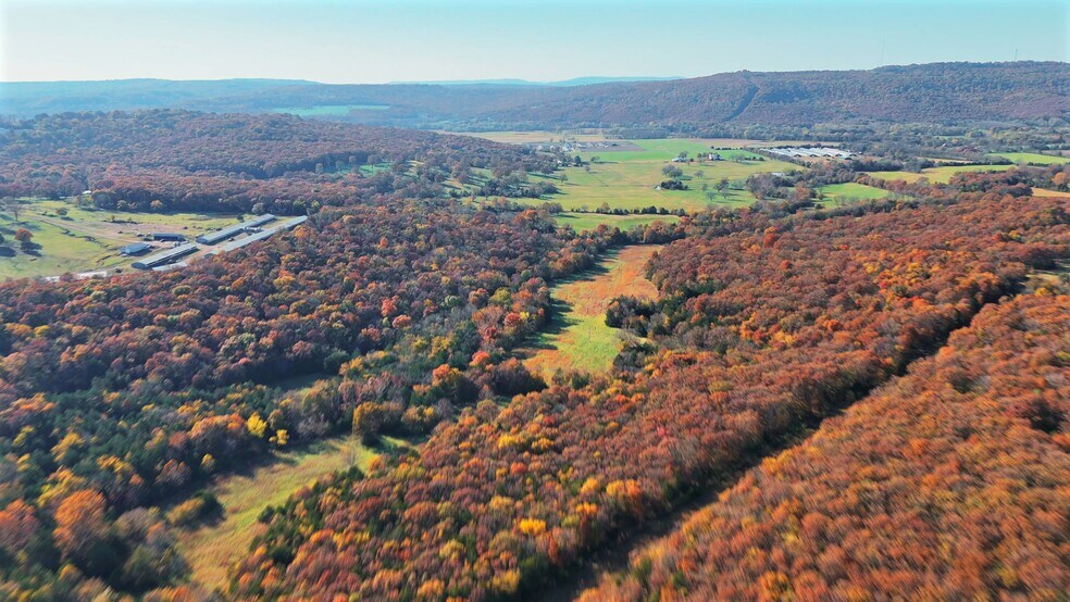 Primary Photo Of WC 136 Downing Rd rd, Fayetteville Land For Sale