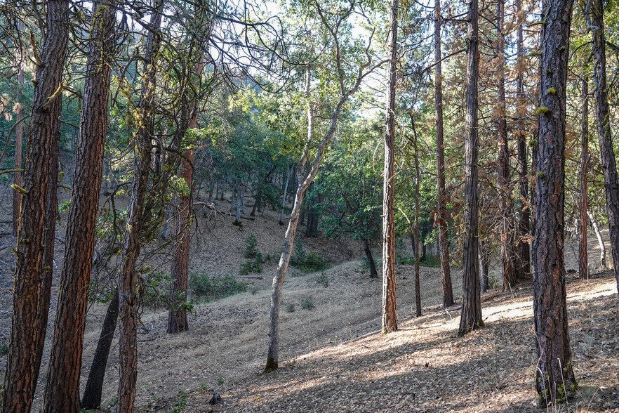 More Photos Of 0 East Rd, Fort Jones Land For Sale