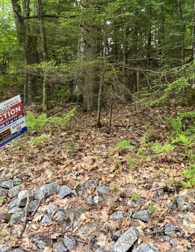 More Photos Of 0 Cheney Hill Rd, Bradford Land For Sale
