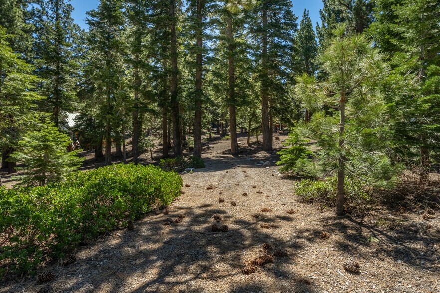 More Photos Of 167 Crawford Ave, Mammoth Lakes Land For Sale