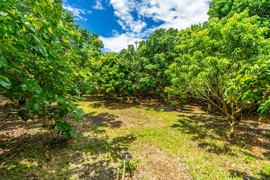 More Photos Of 27804 SW 175th Ct, Homestead Land For Sale