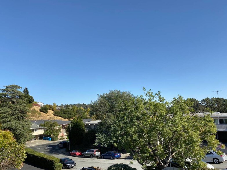 More Photos Of 6 Garden Ct, Belmont Apartments For Sale