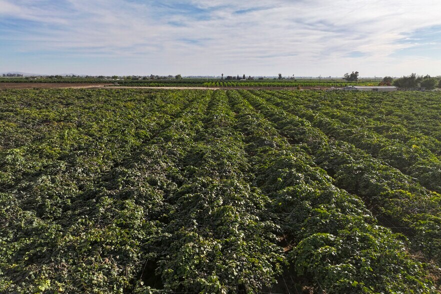 More Photos Of 39496 Road 136, Cutler Land For Sale