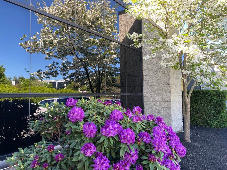 More Photos Of 13 Branch St, Methuen Medical For Lease