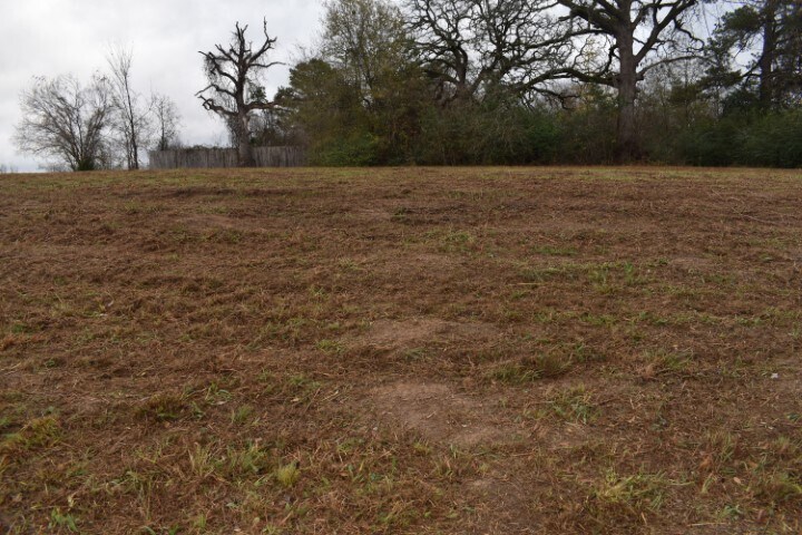 More Photos Of 2200 S Royall St, Palestine Land For Sale