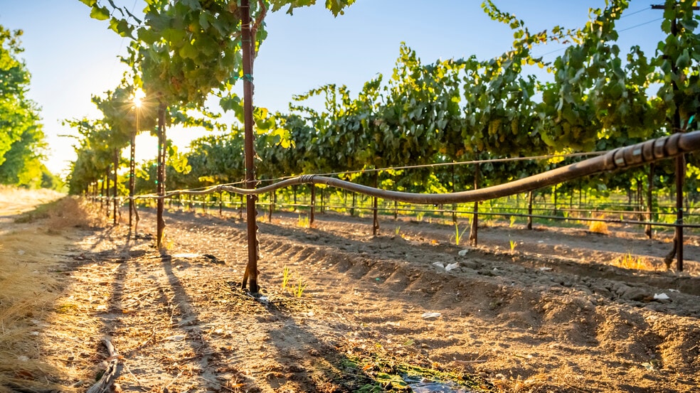 More Photos Of TFC Ranch, Lodi Land For Sale