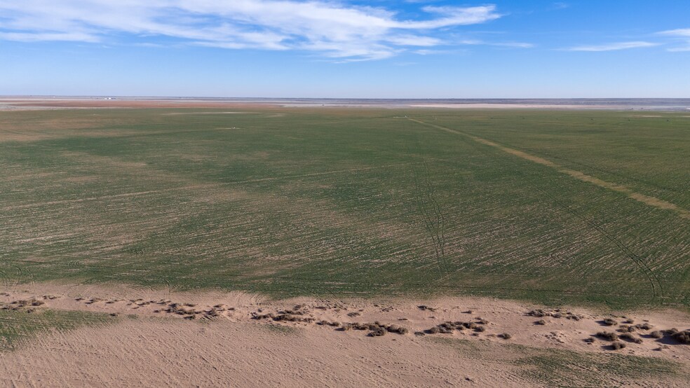 More Photos Of TBD CR 260, Morton Land For Sale