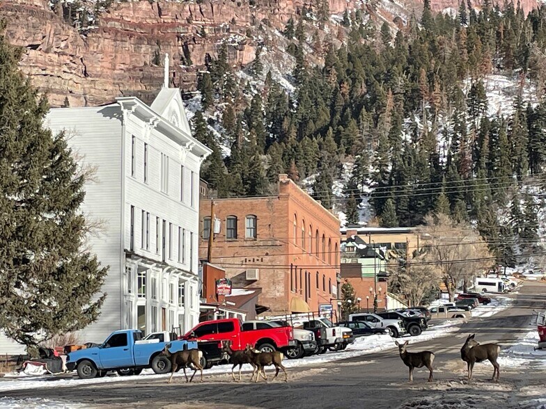 More Photos Of 115 / 117 / 119 7th Ave, Ouray Apartments For Sale